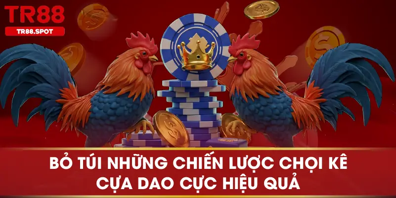 Bỏ túi những chiến lược chọi kê cựa dao cực hiệu quả