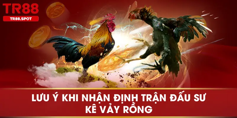 Lưu ý khi nhận định trận đấu sư kê vảy rồng